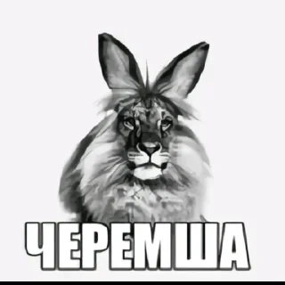 Telegram sticker 😚 Масый сок