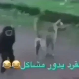 Video sticker 😄 فهدتس :: @fStikBot