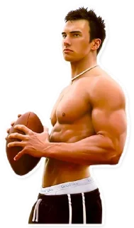 Sticker 🏈 Various Quail :: @fStikBot