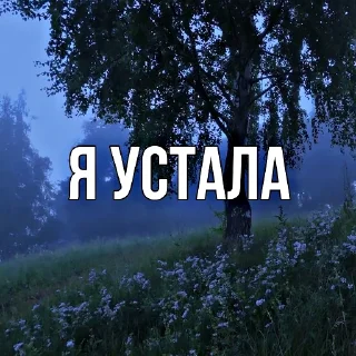 Телеграм стикер 🥲 ухожу в @undback