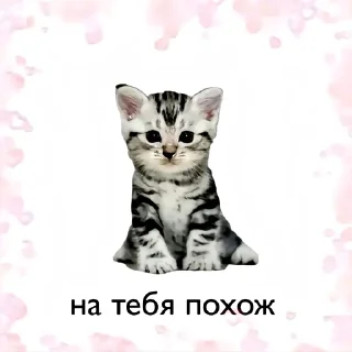 Video sticker ❤️ ухожу в @undback