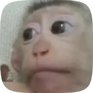 Video sticker 🌟 🇬🇹⭐️JEFF HAS A PROBLEM⭐️🇬🇹