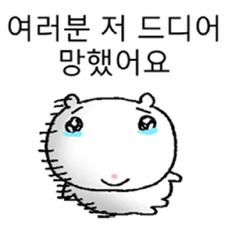 Video sticker ⭐ 요즘햄찌 3 @moe_sticker_bot