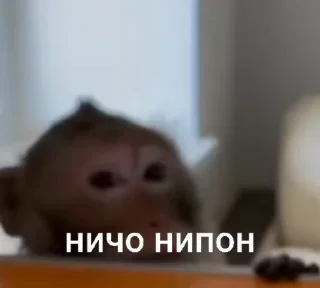 Video sticker 🌟 Больше стиков тут: @stikery4