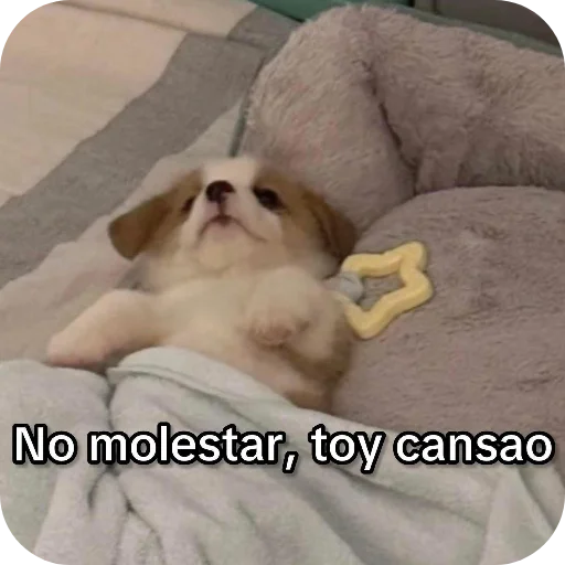 Telegram sticker 🐶 Rav3nn :: @fStikBot