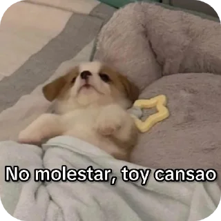 Telegram stiker 🐶 Rav3nn :: @fStikBot