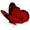 Sticker 🦋 red by @prem_emodji
