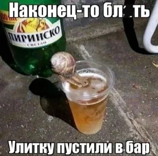 Telegram sticker 🤩 Лысыйхрыщ @TgEmodziBot