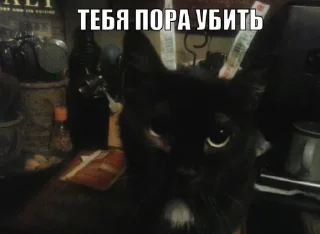 Telegram sticker 🤩 Лысыйхрыщ @TgEmodziBot