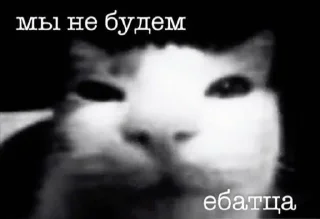 Telegram sticker 🤩 Лысыйхрыщ @TgEmodziBot