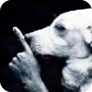 Telegram sticker 🫥 THEY ARE MINE             @Moonjooooo