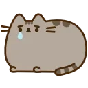 Video sticker 😢 pusheen ➜ @emoji1