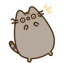 Video sticker 🙀 pusheen ➜ @emoji1