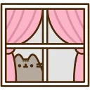 Video sticker 👀 pusheen ➜ @emoji1