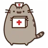 Video sticker 💊 pusheen ➜ @emoji1