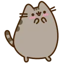 Video sticker ☺️ pusheen ➜ @emoji1