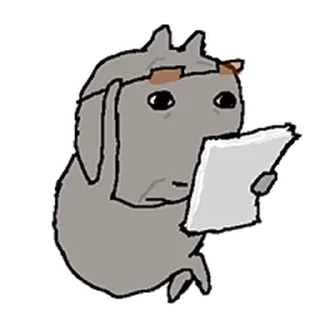 Video sticker ⭐ 돌아온 색안경 낀 고양이 @moe_sticker_bot