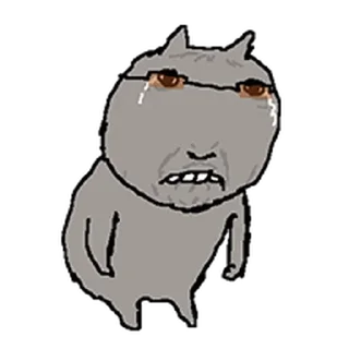 Video sticker ⭐ 돌아온 색안경 낀 고양이 @moe_sticker_bot