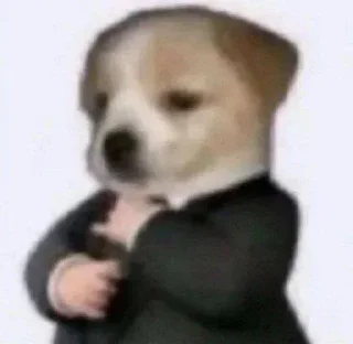 Telegram stiker 😎 𝑴𝑩𝑫 |𝑲𝑨𝑹𝑬𝑬𝑴