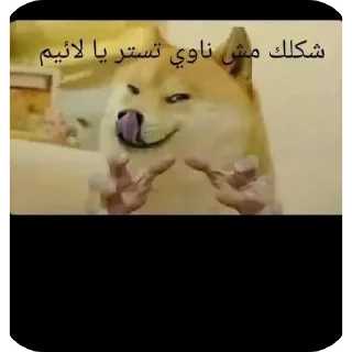 Telegram stiker 👍 𝑴𝑩𝑫 |𝑲𝑨𝑹𝑬𝑬𝑴