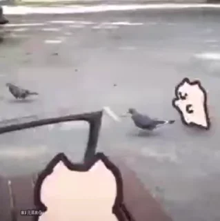 Video sticker 😂 @MEL0PHlLE — @stckrRobot