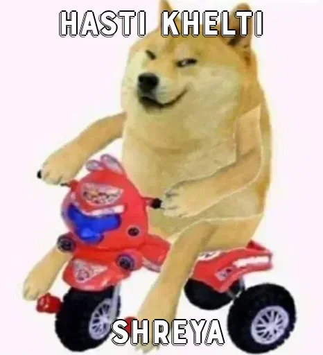 Sticker 🙂 Shreya's sticker pack (@Mikasa_Ackr_bot)