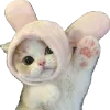 Sticker 😻 al'kusheterova @TgEmodziBot