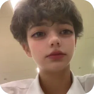 Telegram sticker 🫥 Planned Salmon :: @fStikBot