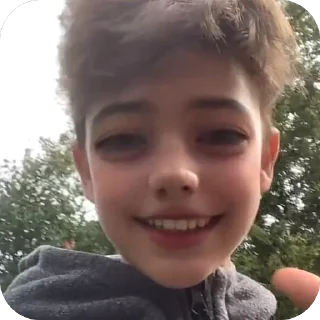 Video sticker 🫥 Planned Salmon :: @fStikBot