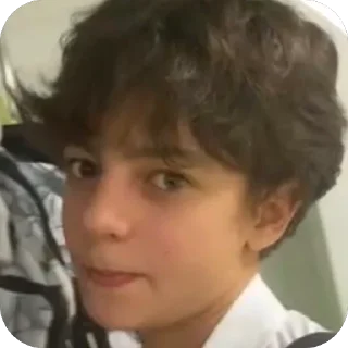 Telegram sticker 🫥 Planned Salmon :: @fStikBot