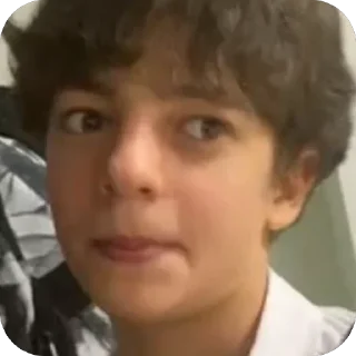 Telegram sticker 🫥 Planned Salmon :: @fStikBot