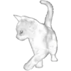 Video sticker 🐈 Mefovaya @TgEmodziBot