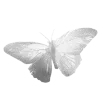 Video sticker 🦋 Mefovaya @TgEmodziBot