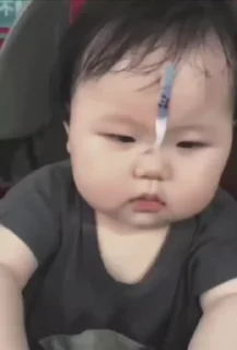 Video sticker 🌟 花专属💐 :: @fStikBot