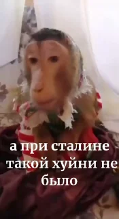 Video sticker 👨‍✈️ нася🙄 @Femoji