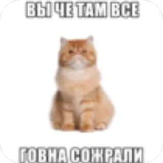Telegram sticker 🫥 Латяо-ТяуТяо