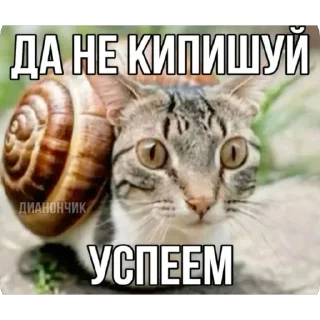 Telegram sticker 🫥 Латяо-ТяуТяо