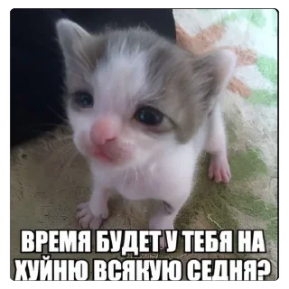 Telegram sticker 🫥 Латяо-ТяуТяо