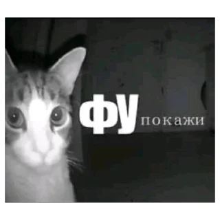 Telegram sticker 🫥 Латяо-ТяуТяо