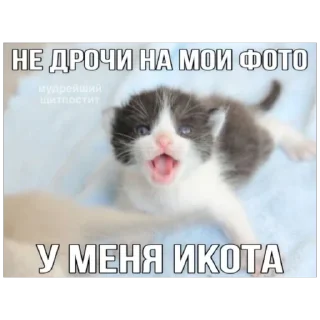 Telegram sticker 🫥 Латяо-ТяуТяо