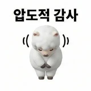 Video sticker 🙏 🐑 양 한마리