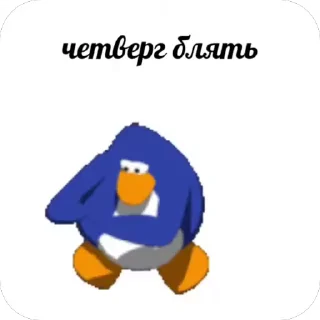 Video sticker 🐧 Все стикеры тг кликай и бери 👉 @stiki_tg_nah_canal