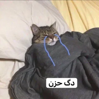 Telegram sticker 😞 دورا العمية تربيع 🦭
