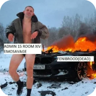 Video sticker 🤩 15 room xiv @xivivideroom15