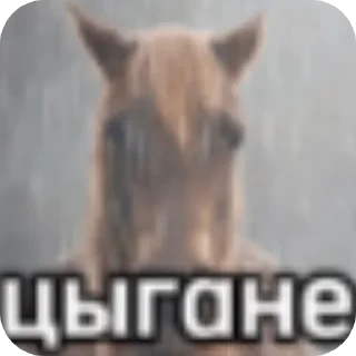 Telegram sticker 🐎 😥