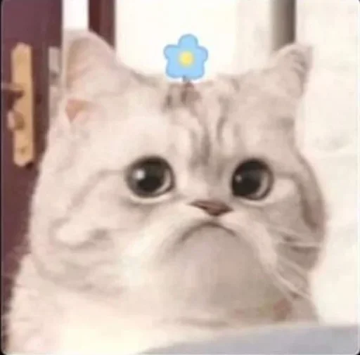 Telegram sticker ☹ 𝐈𝐆𝐋𝐎𝐎 <3 🗽