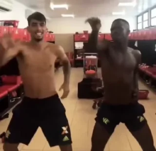 Video sticker 🏟 flamengo @lenametade