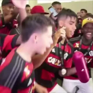 Video sticker 🏟 flamengo @lenametade