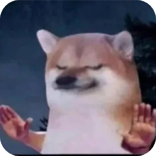 Telegram sticker ✋ I am u