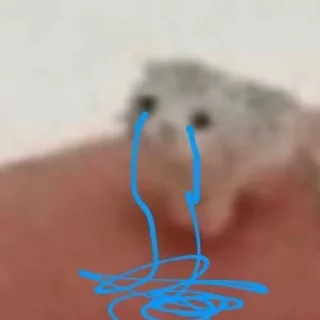 Телеграм стикер 🥺 HGRHGRHRGRHGgGrhhr